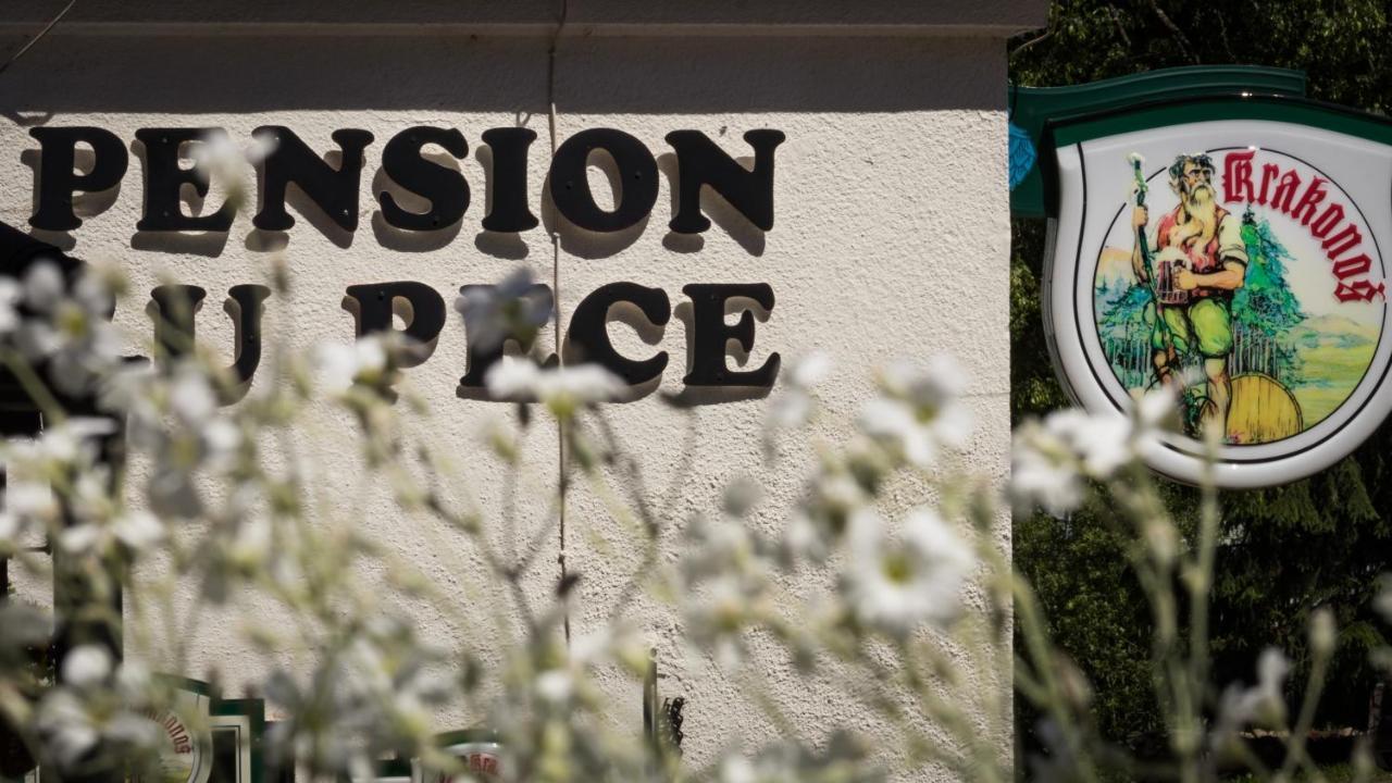 Pension U Pece Pec pod Sněžkou Kültér fotó
