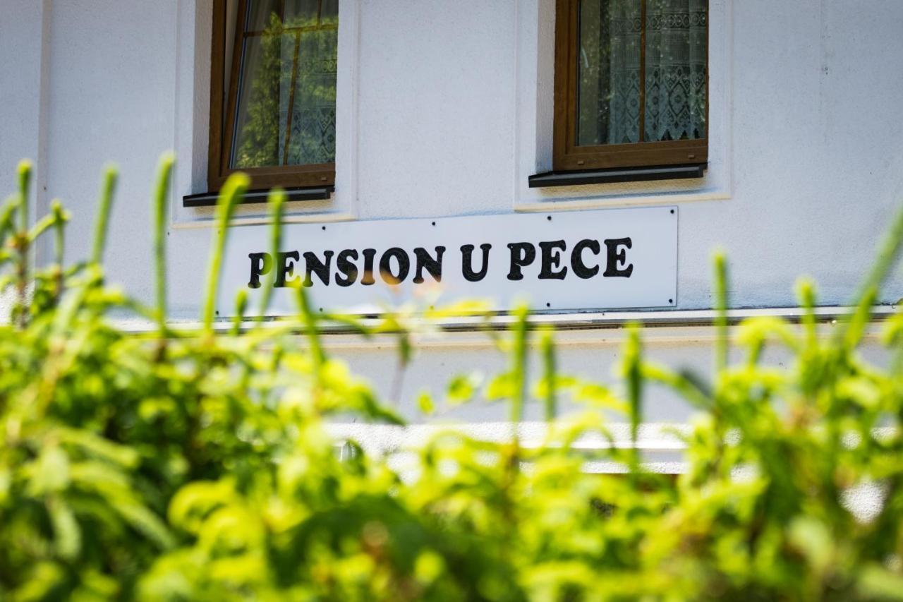 Pension U Pece Pec pod Sněžkou Kültér fotó